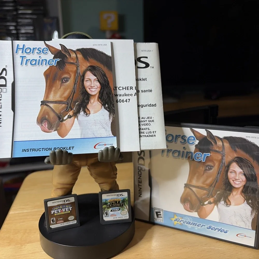 Nintendo ds game